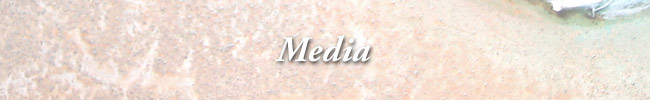 Media header